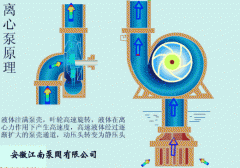 不銹鋼離心泵,氟塑料離心泵結(jié)構(gòu)組成圖解